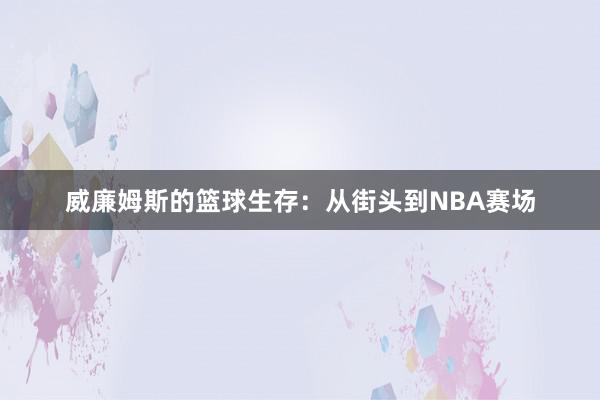 威廉姆斯的篮球生存：从街头到NBA赛场